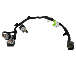 Ford Edge 19-24 2.7T Rear Fuel Rail Wiring