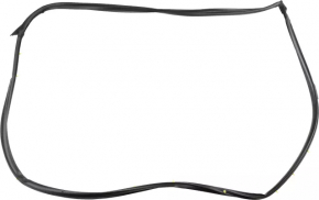Front right door seal Nissan Maxima A36 16-