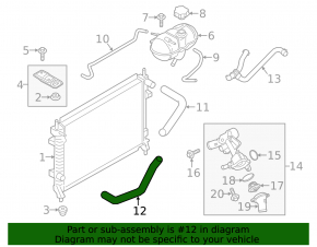 Lower cooling hose for Ford Mustang mk6 15-17 3.7