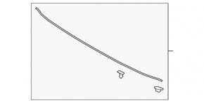 Hood seal on bumper Hyundai Santa FE 19-20