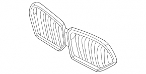 BMW X6 G06 20-23 Radiator Grille with Backlight