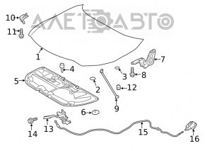 Toyota Venza 21-24 hood insulation tears