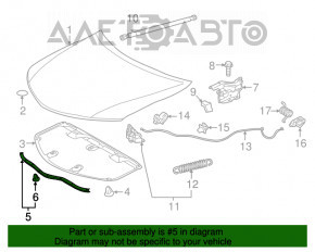 Hood seal front Toyota Camry v55 15-17 usa