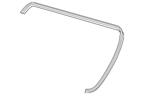 Trunk lid seal Honda Clarity 18-21 usa