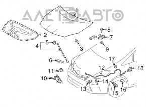 Hood hinge left Toyota Prius V 12-17