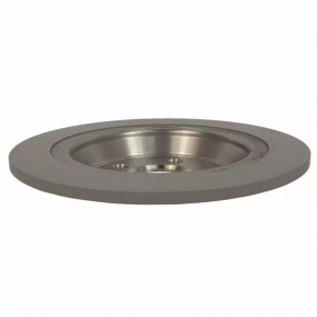 Rear left brake disc Ford Mustang mk6 15-320/11mm
