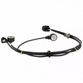 Lincoln Nautilus 19-23 Knock Sensor