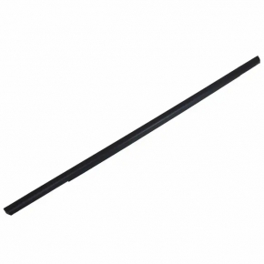 Molding door-glass central rear left Ford Focus mk3 11-18 mat
