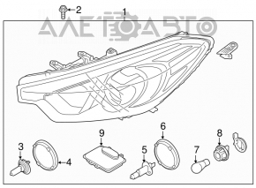Xenon lamp Kia Forte 4d 14-16 dorest