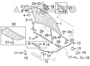 Bare hood Audi A4 B8 09-12