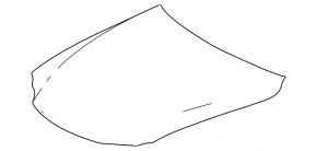 Lexus IS 14-20 aluminum hood