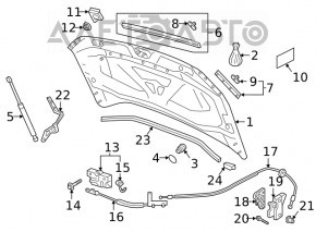 VW Tiguan 18-24 steel hood
