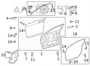 Front right door seal for Lexus UX 19-26