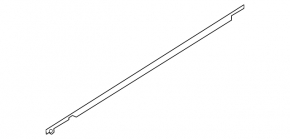 Molding door-glass central front right Nissan Leaf 18-matt
