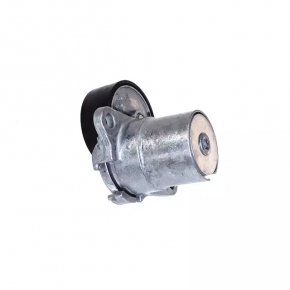 VW Jetta 19- 2.0T Drive Belt Tensioner Roller