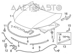 Bare hood Honda Accord 16-17 rest, aluminum, blue B553P, painted