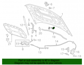 Bonnet bumper VW Atlas 18-24 prerest