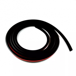 VW Tiguan 09-17 panoramic window seal