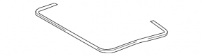 Lexus RC 15-25 hatch seal