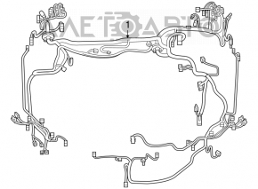 Lexus Hs250h 10-10 underhood wiring harness with fuse box