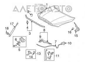 Hood bumper left Toyota Sequoia 08-16