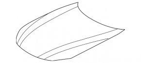 Lexus LS 18-23 bare hood