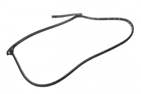 Door seal rear right Chevrolet Volt 11-15