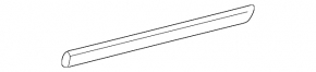 Lexus ES300 ES330 center rear right door molding