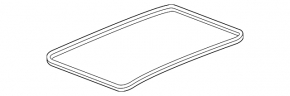 Panorama seal VW Tiguan 18-24