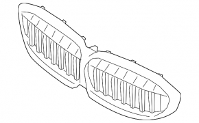 BMW 3 Series G20 23-25 Chrome Radiator Grille Assembly