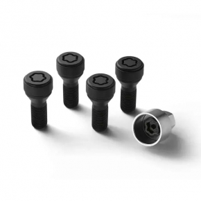 Wheel bolt M14x1.25 BMW X3 G01 18-21 set