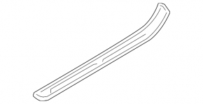 Door sill trim front left BMW 335i e92 07-13