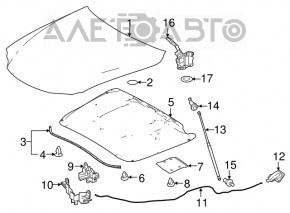 Lexus IS 14-25 Hood Lock Cover