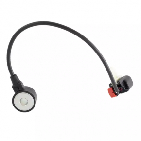 Knock Sensor Ford Explorer 20-