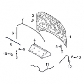 Ford Bronco Sport 21-25 Hood Support Stick