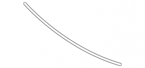 Hood seal on bumper Kia Forte 4d 17-18 rest