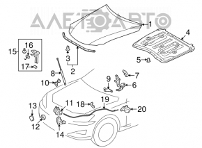 Right hood shock absorber for Lexus IS250 IS350 06-13