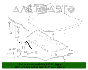 Hood support for Toyota Highlander 14-19