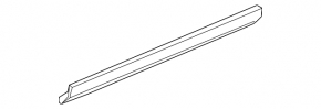 Front right lower door seal Infiniti G25 G35 G37 4d 06-14