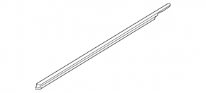 Molding door-glass central front left Ford Flex 09-19 chrome