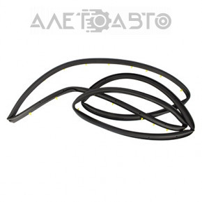 Ford Escape MK3 13-19 rear right door seal
