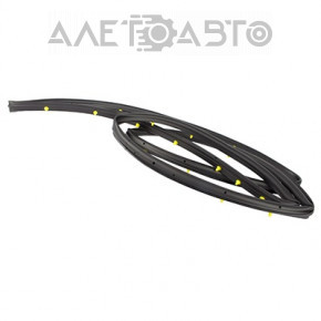 Ford Escape MK3 13-19 rear right door seal