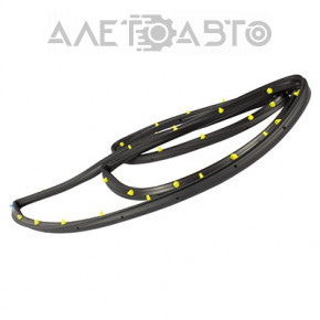 Ford Escape MK3 13-19 rear right door seal