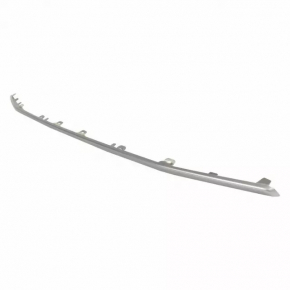 Element of radiator grill insert Ford Ecosport 18-22 bottom, silver