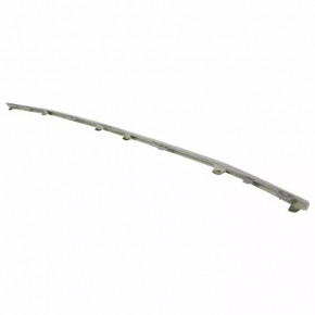 Element of radiator grill insert Ford Ecosport 18-22 bottom, silver