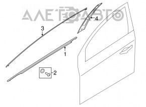 Door-glass molding, central front left, Hyundai Sonata 15-19