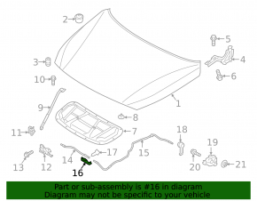 Hyundai Ioniq 5 22-24 Hood Lock Trim