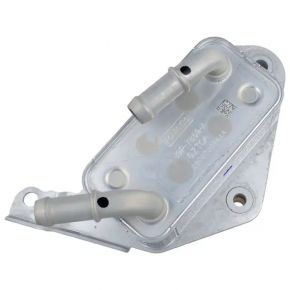 Ford Mustang Mach-E 21-23 Rear Engine Cooler