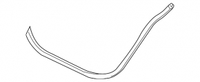 Rear left door seal for VW CC 08-17