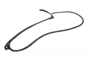 Chevrolet Volt 11-15 front right door seal